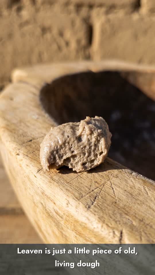 The Leaven
